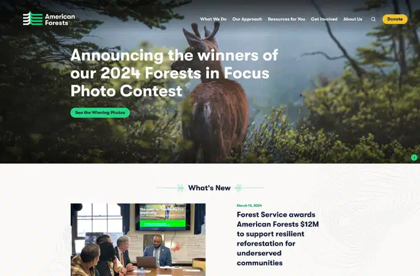 American Forests