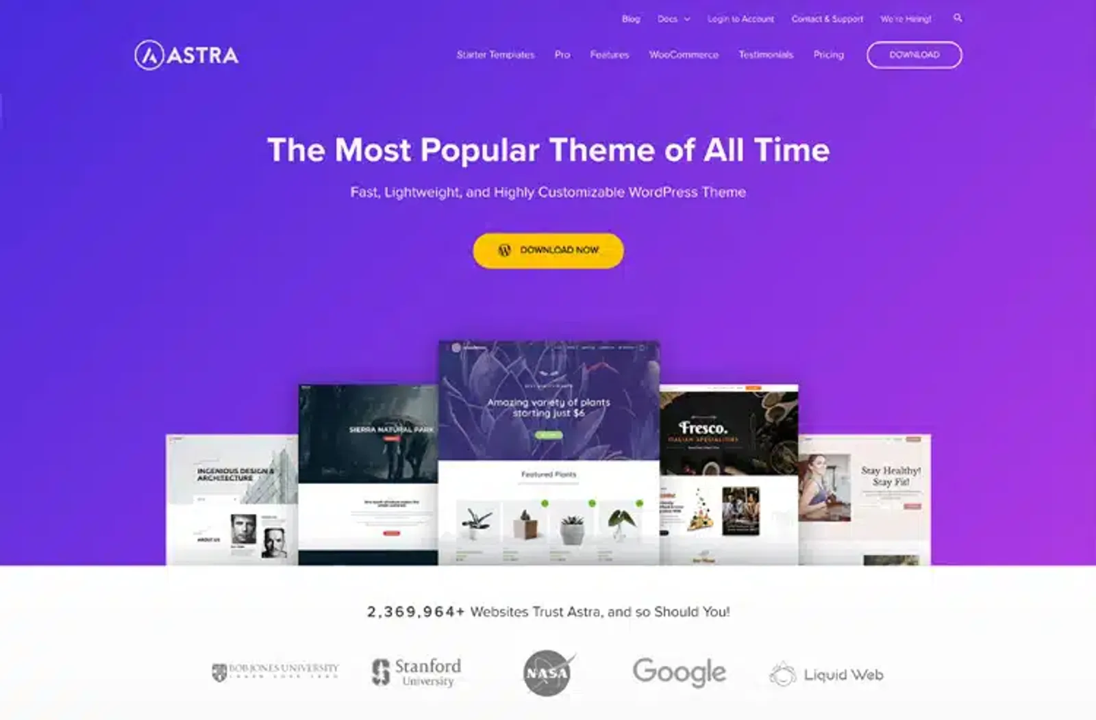 Astra Theme