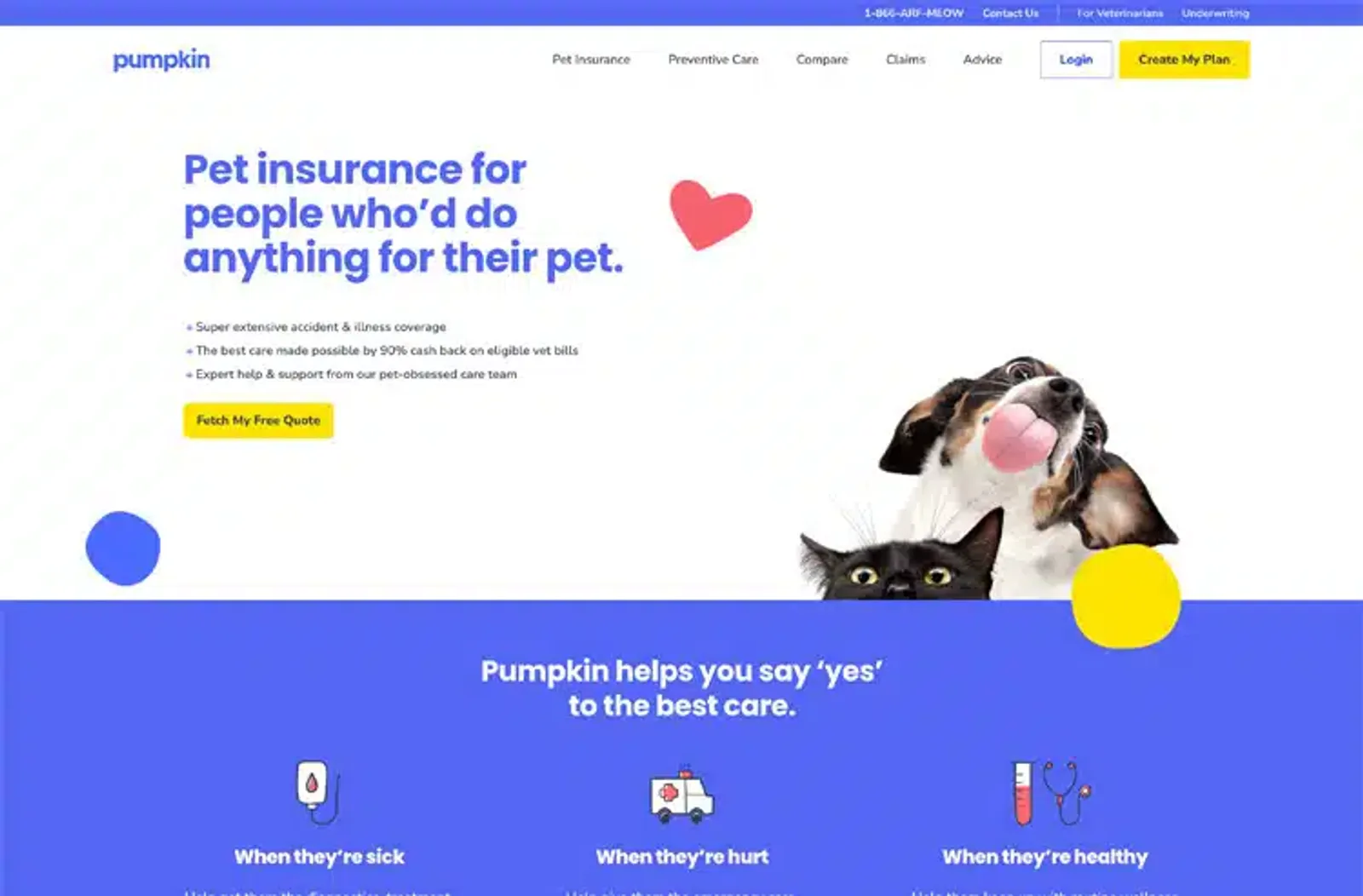 Pumpkin Pet Insurance