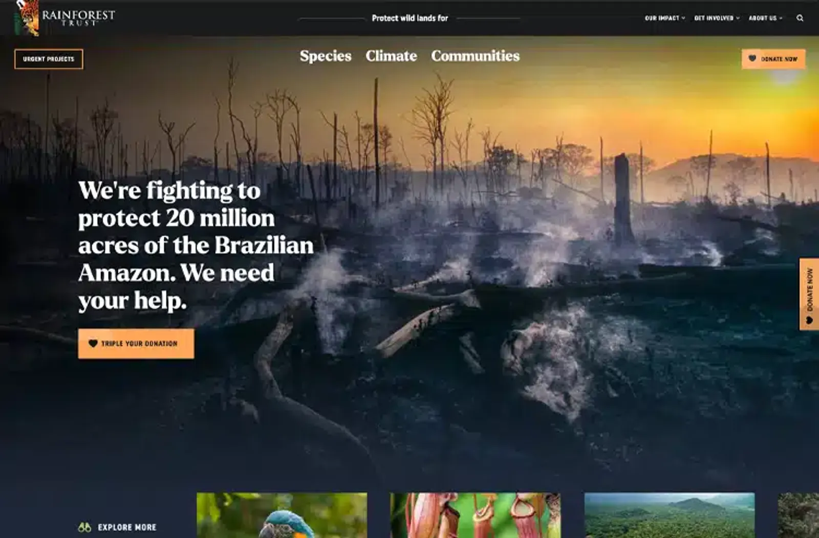 Rainforest Trust