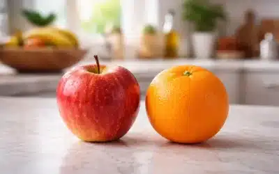 Webflow SEO vs WordPress SEO: What You Need to Know