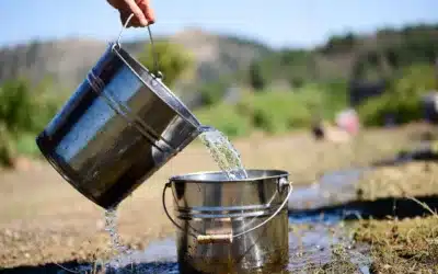 WordPress to Webflow Migration: An SEO-Safe Guide